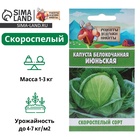 Семена Капуста белокочанная "Июньская", 0,5 г - Фото 5