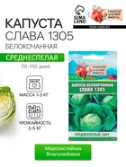Семена Капуста белокочанная "Слава 1305", 0,5 г - Фото 1
