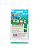 Семена Капуста белокочанная "Слава 1305", 0,5 г - Фото 7