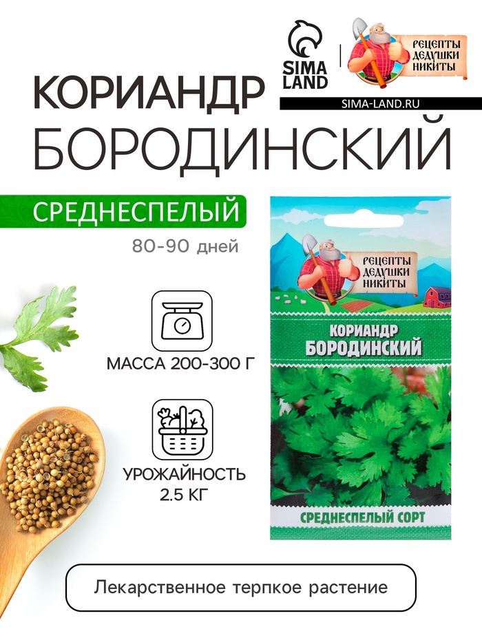 Семена Кориандр "Бородинский", 5 г - Фото 1