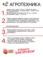 Семена Кориандр "Бородинский", 5 г - Фото 4