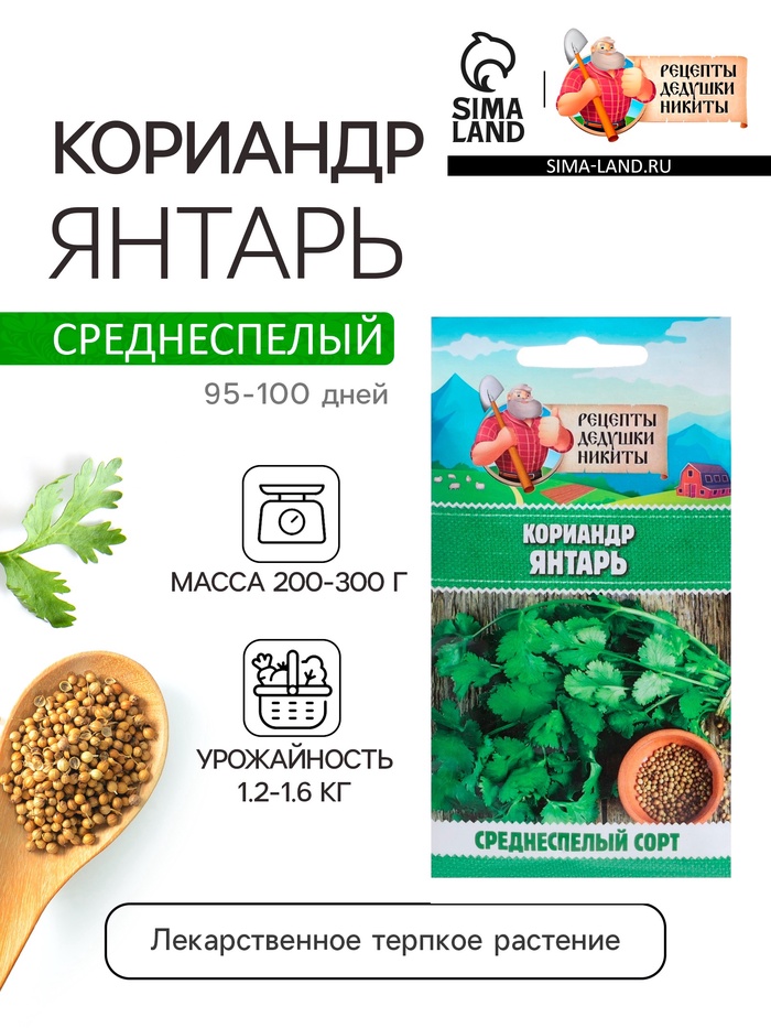 Семена Кориандр «Янтарь», 5 г, «Рецепты дедушки Никиты» - Фото 1