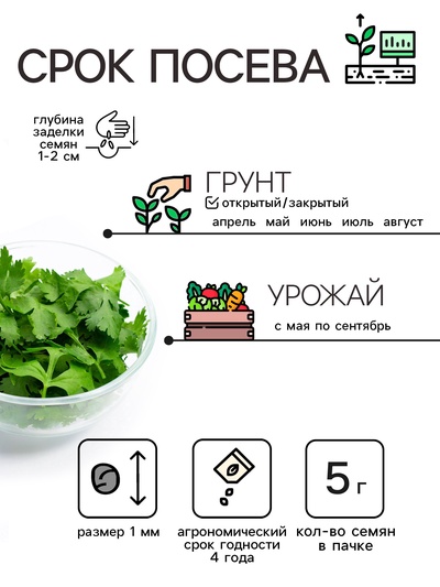 Семена Кориандр «Янтарь», 5 г, «Рецепты дедушки Никиты»