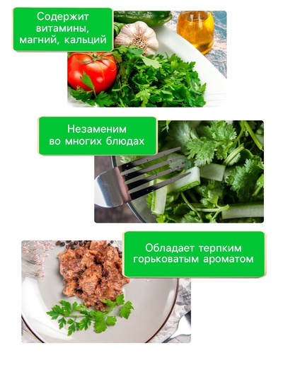 Семена Кориандр «Янтарь», 5 г, «Рецепты дедушки Никиты»
