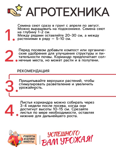 Семена Кориандр «Янтарь», 5 г, «Рецепты дедушки Никиты»