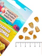 Семена Кукуруза сахарная "Ранняя лакомка 121", 5 г - Фото 5
