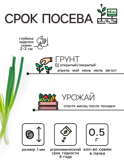 Семена Лук-батун «Русский зимний», 0.5 г, многолетник, «Рецепты дедушки Никиты»
