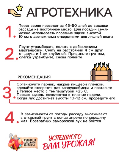 Семена Лук-батун «Русский зимний», 0.5 г, многолетник, «Рецепты дедушки Никиты»