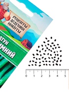 Семена Лук-батун "Русский зимний", 0,5 г 10245113 - фото 16799110