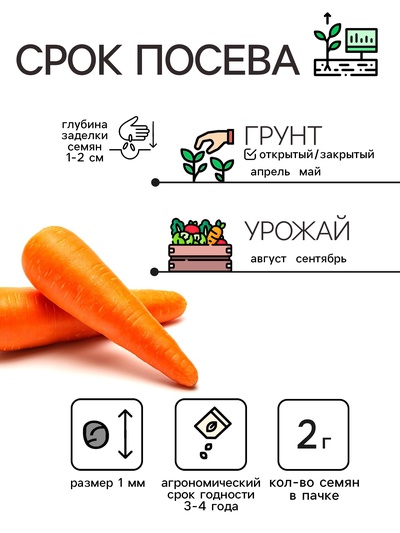 Семена Морковь «Лосиноостровская 13», 2 г, среднеспелая, «Рецепты дедушки Никиты»