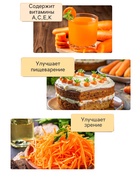 Семена Морковь "Лосиноостровская 13", 2 г - Фото 3