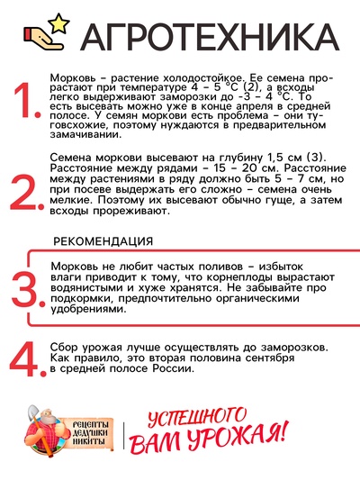 Семена Морковь «Лосиноостровская 13», 2 г, среднеспелая, «Рецепты дедушки Никиты»