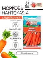 Семена Морковь "Нантская 4", 2 г - Фото 1