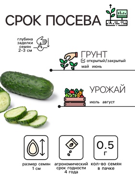 Семена Огурец "Засолочный", 0,5 г (комплект 2 шт)
