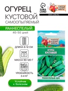 Семена Огурец «Кустовой», 0.5 г, «Рецепты дедушки Никиты» - Фото 1