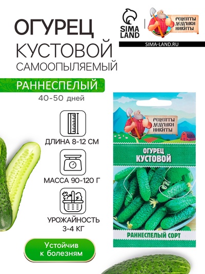 Семена Огурец «Кустовой», 0.5 г, «Рецепты дедушки Никиты»