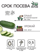 Семена Огурец «Кустовой», 0.5 г, «Рецепты дедушки Никиты» - Фото 2
