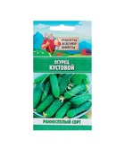 Семена Огурец «Кустовой», 0.5 г, «Рецепты дедушки Никиты» - Фото 6