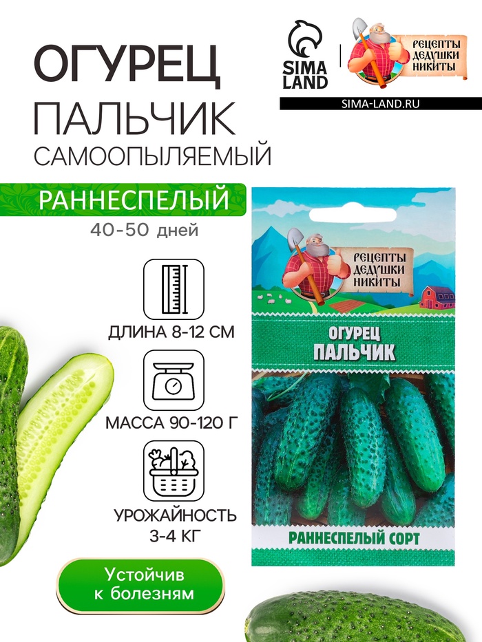 Семена Огурец «Пальчик», 0.5 г, «Рецепты дедушки Никиты» - Фото 1