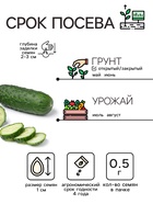 Семена Огурец «Пальчик», 0.5 г, «Рецепты дедушки Никиты» - Фото 2