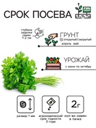 Семена Петрушка "Обыкновенная листовая", 2 г - Фото 2