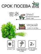 Семена петрушка листовая «Богатырь», 2 г - Фото 2