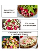 Семена Редис "Жара", 2 г 10245127 - фото 13876977