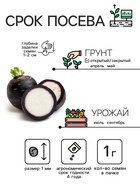 Семена Редька "Зимняя круглая чёрная", среднеспелая, 1 г - Фото 2