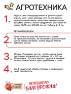 Семена Редька "Зимняя круглая чёрная", среднеспелая, 1 г - Фото 4