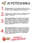 Семена Салат "Букет", 0,5 г - Фото 4