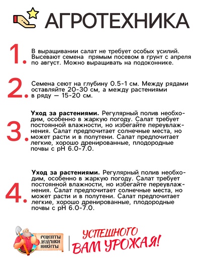 Семена Салат "Букет", 0,5 г