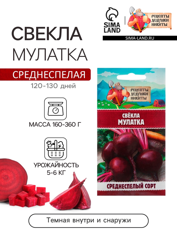 Семена Свёкла "Мулатка", 2 г - Фото 1
