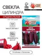 Семена Свёкла "Цилиндра", 2 г - Фото 1