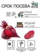 Семена Свёкла "Цилиндра", 2 г - Фото 2