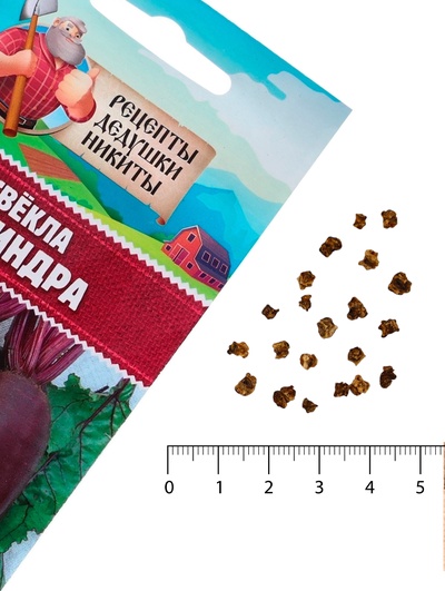 Семена Свёкла «Цилиндра», 2 г, «Рецепты дедушки Никиты»