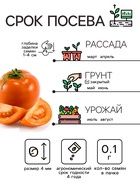 Семена Томат «Хурма», 0.1 г, «Рецепты дедушки Никиты» - Фото 2
