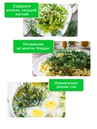 Семена Укроп «Грибовский», 2 г, «Рецепты дедушки Никиты» - Фото 3