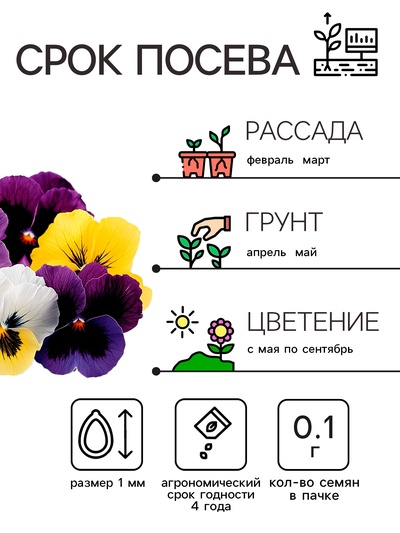 Семена цветов Виола «Шведские гиганты», 0.1 г, «Рецепты дедушки Никиты»