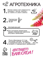 Семена цветов Люпин "Смесь Рассела", 0,5 г - Фото 4