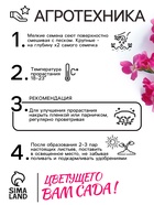 Семена цветов Маттиола двурогая "Вечерний аромат", смесь, 0,3 г 10245162 - фото 13907316