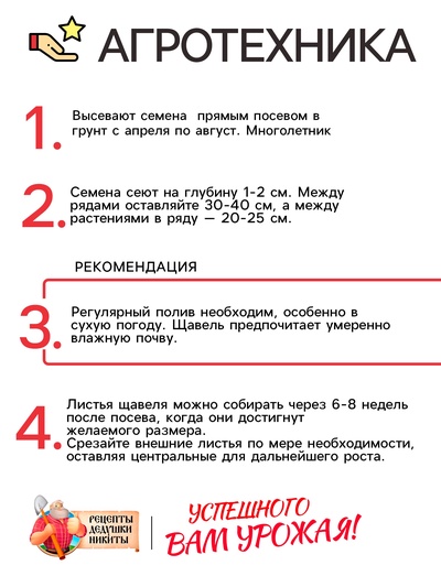 Семена Щавель "Бельвильский", 1 г