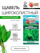 Семена Щавель "Широколистный", 1 г - Фото 1