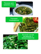 Семена Щавель "Широколистный", 1 г - Фото 3