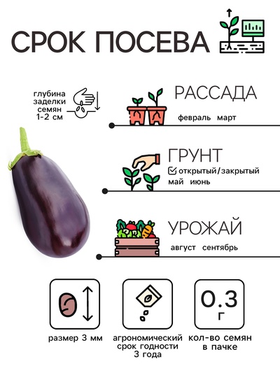 Семена Баклажан «Чёрный красавец», 0.3 г, «Рецепты дедушки Никиты»