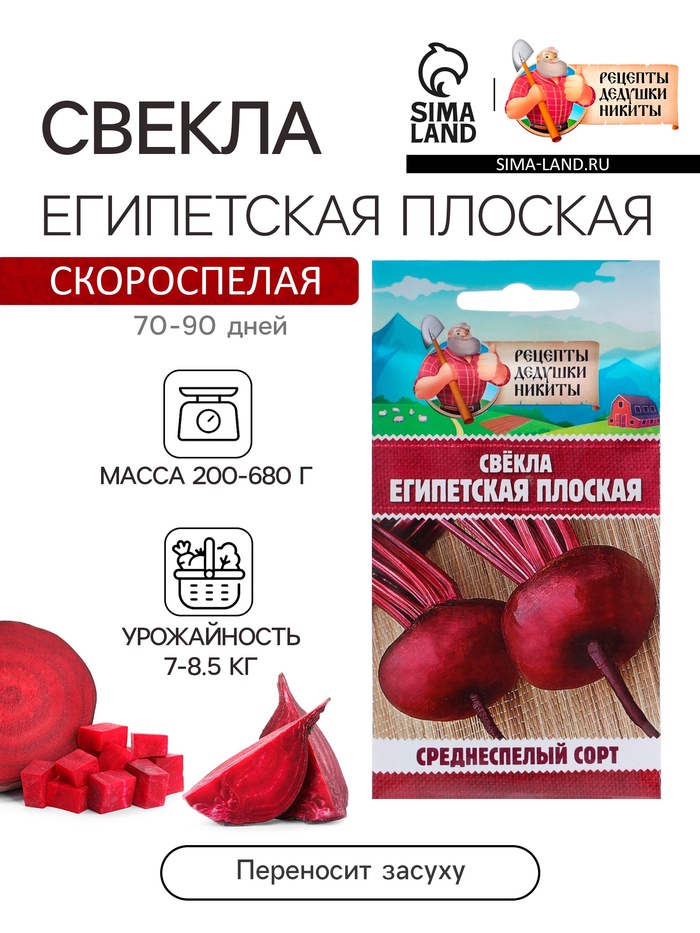 Семена Свекла «Египетская плоская», 2 г - Фото 1