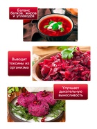 Семена Свекла «Египетская плоская», 2 г - Фото 3