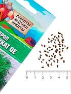 Семена Укроп «Супердукат ОЕ», 2 г - Фото 5