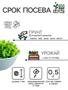 Семена Салат «Кучерявец Одесский», 0.5 г, «Рецепты дедушки Никиты» - Фото 2