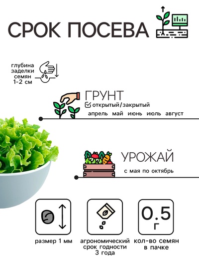 Семена Салат «Кучерявец Одесский», 0.5 г, «Рецепты дедушки Никиты»