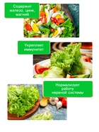 Семена Салат «Кучерявец Одесский», 0.5 г, «Рецепты дедушки Никиты» - Фото 3